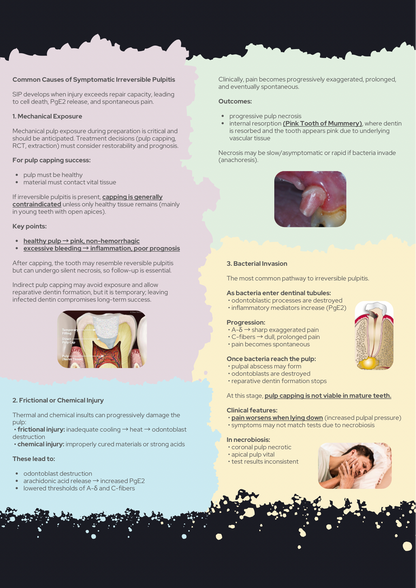 How to Diagnose Any Toothache PDF Guidebook