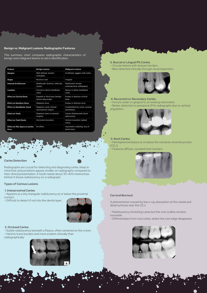 Oral Radiology Full Guide PDF With Clinical Scenario MCQs Explained