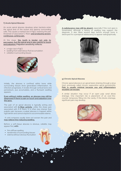 How to Diagnose Any Toothache PDF Guidebook