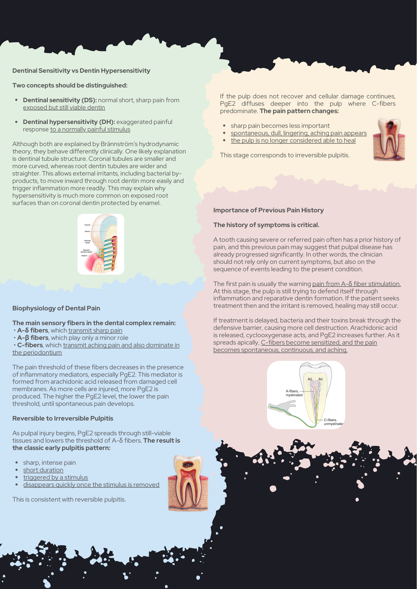 How to Diagnose Any Toothache PDF Guidebook