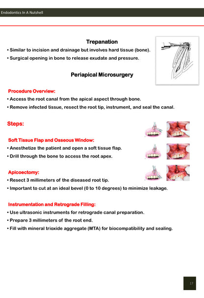 Endodontics In A Nutshell. PDF