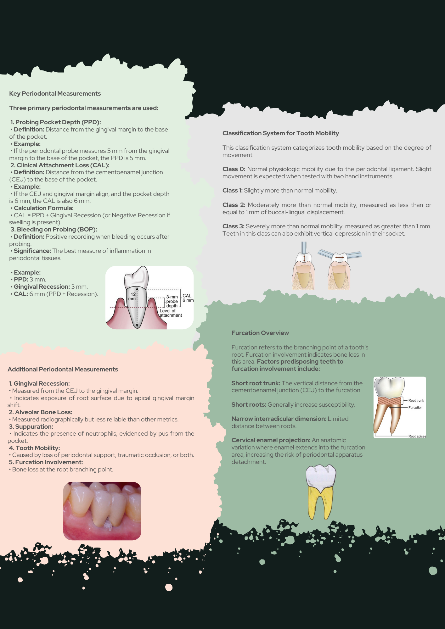 Periodontics Full Guide PDF With Clinical Case Questions Explained