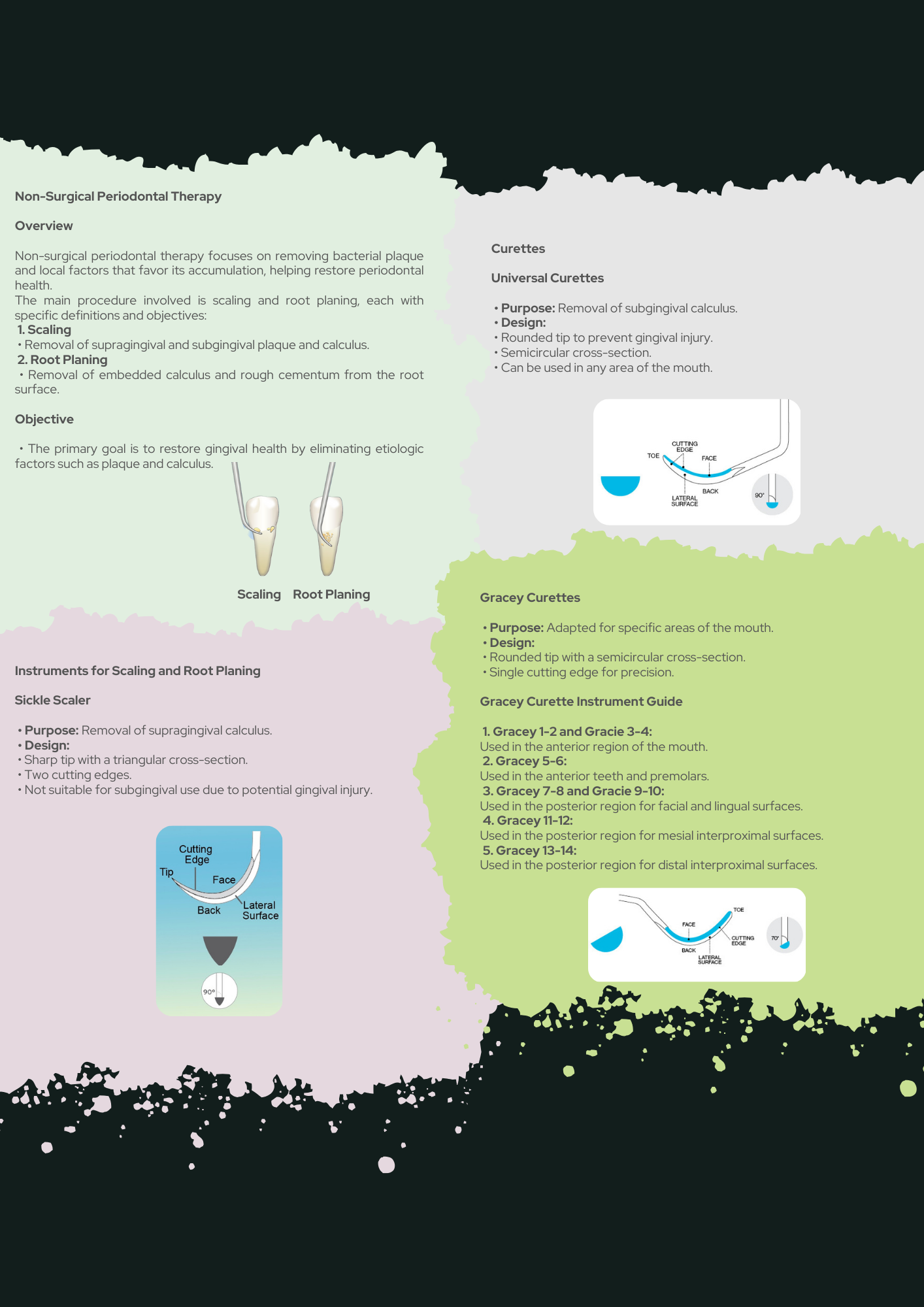 Periodontics Full Guide PDF With Clinical Case Questions Explained