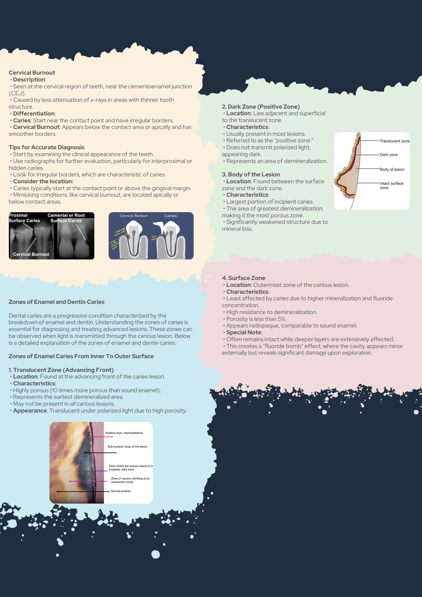 Operative Dentistry Guide PDF With Clinical Scenario Questions Explained