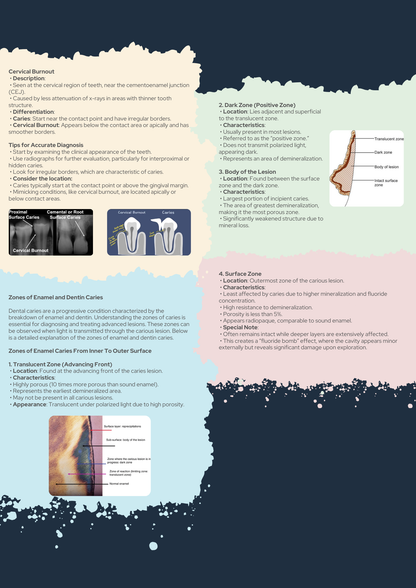 Operative Dentistry Guide PDF With Clinical Scenario Questions Explained
