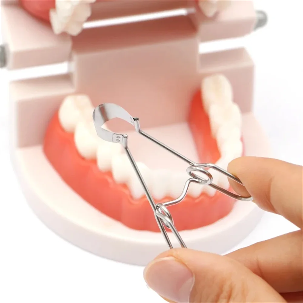 Sectional Contoured Matrix with Springclip